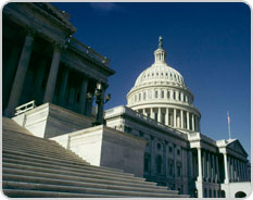 Illustration of the Capitol Dome.