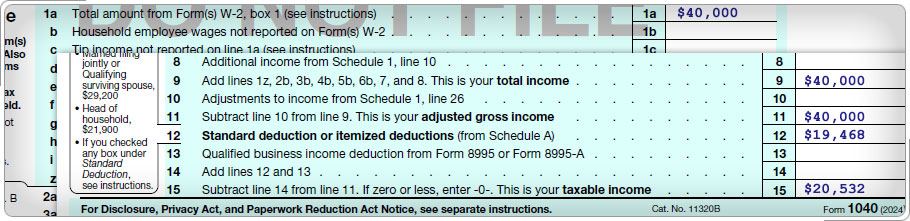 Portion of Form 1040