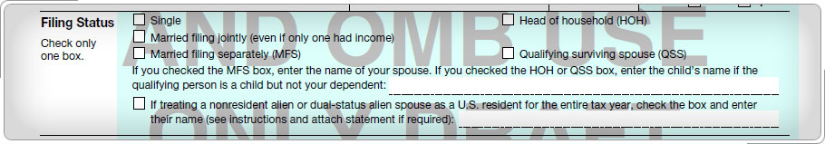 Filing Status section of Form 1040