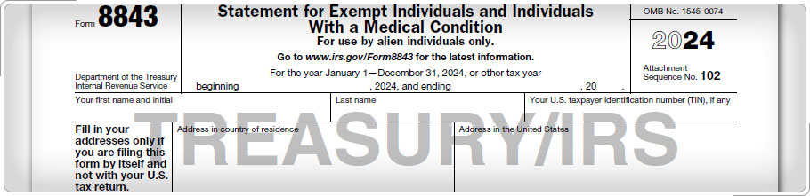 Form 8843, Name and Address fields.