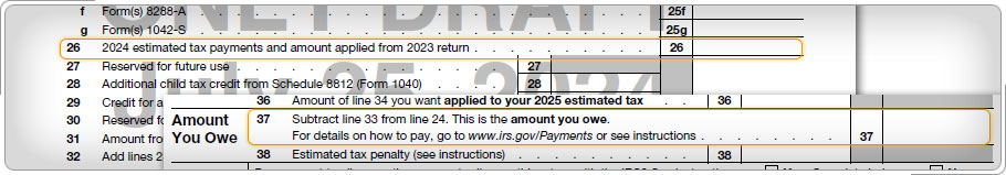 Form 1040-NR showing estimated tax payments and amount you owe.