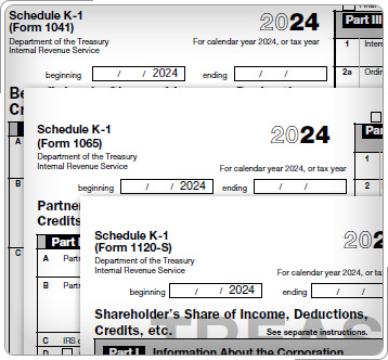 Portions of Form 1041, Form 1065, and Form 1120S.