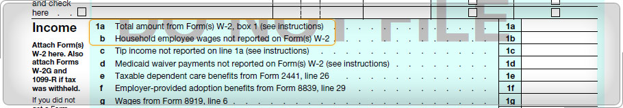 Wages line of Form 1040.